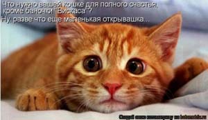 диеты для фигуры груша